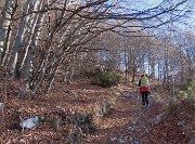 21 Il sent. 579 sale nel bosco di prevalente faggeta